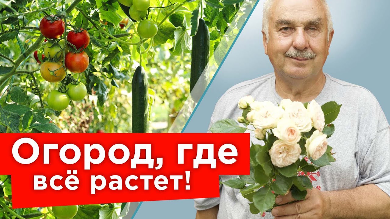 ЧТО СКРЫВАЕТ ИЗВЕСТНЫЙ АГРОНОМ? Петр Ломонос раскрывает свои секреты и ...
