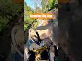 Big Line at Compton with Leon #mtb #dirtbiketricks #13yearsold