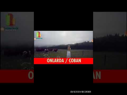 Onlarda çoban Vs Bizde çoban