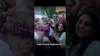 Mention a dog lovers👇#shorts #trending #viral #india #dog #doglover #newdelhi #delhi