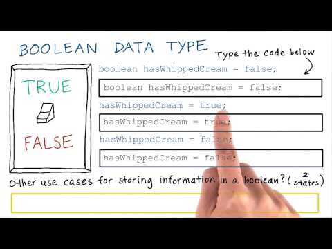 Boolean Data Type - Boolean Data Type
