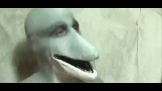 first.video.mp4