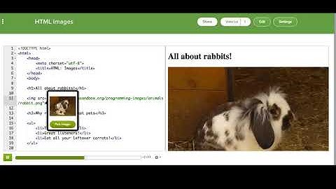 HTML  Images   Intro to HTML CSS  Making webpages   Computer Programming   Khan Academy