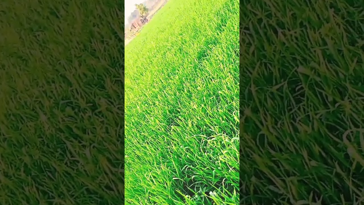 February 16, 202323.03.2023