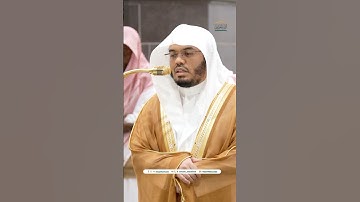 وكان له ثمر ~ تلاوة بديعة للشيخ ياسر الدوسري - صلاة الفجر 11 جمادى الأولى 1446هـ