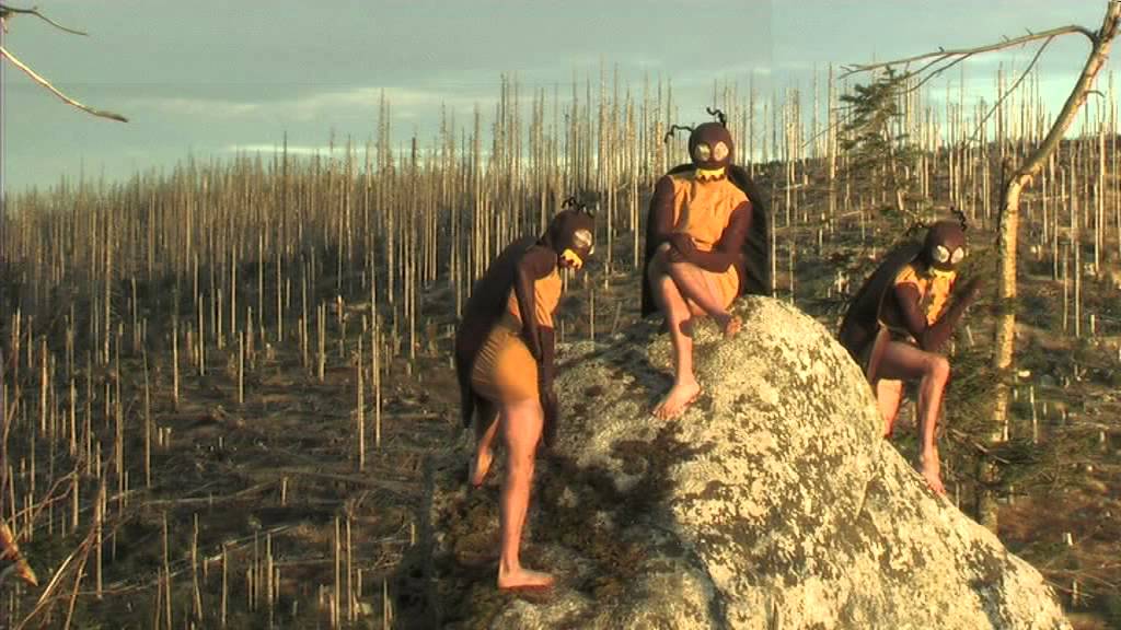 POHÁDKOVÁ REZERVACE - KOLUMBUS, ztracené obrázky 2015