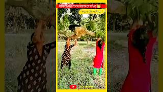 Top 10 Mix dj Gan  Dj Song  Dj Alomgir  Gan  Dj Akter Song  Dj Dance  Dj djworld dj shorts