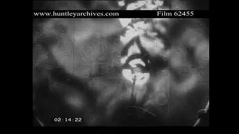 Schlieren Effect Demonstrates Optical Inhomogeneities in Transparent Material.  Archive film 62455