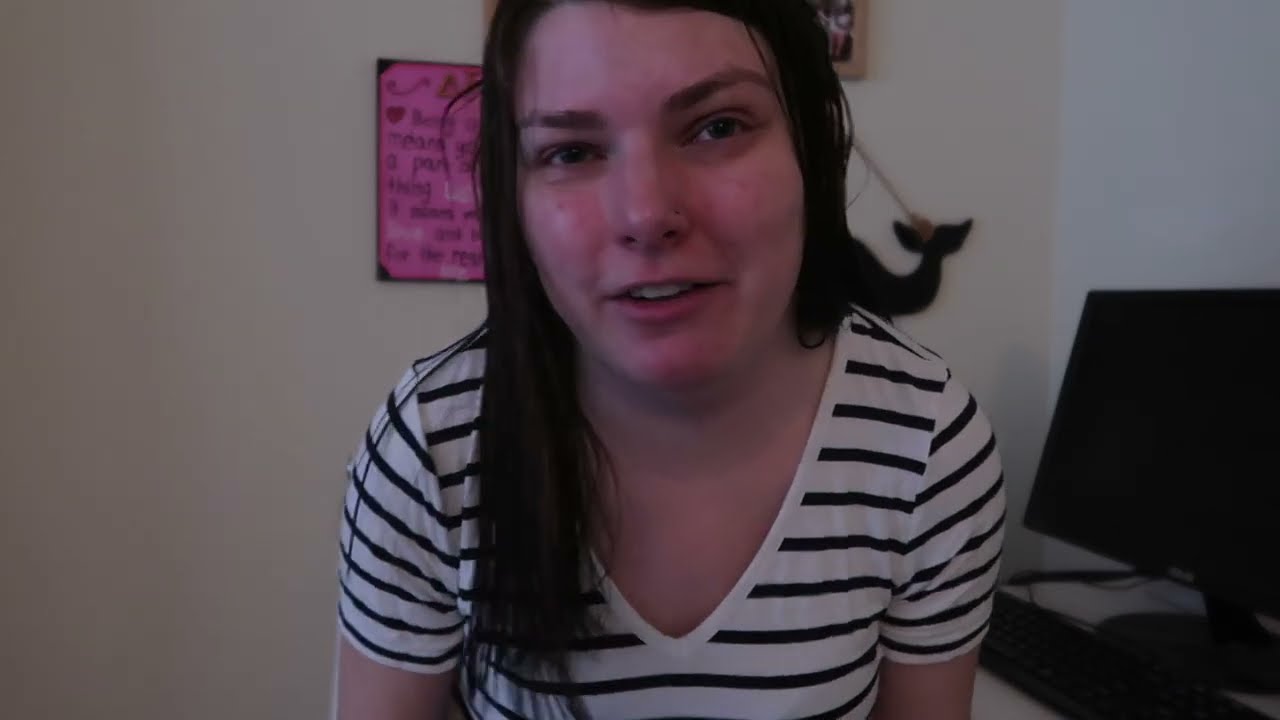 Updates & Lore (Lost and Found AND Neopets)