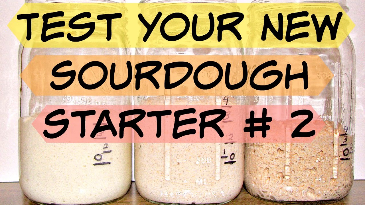 Test Your New 11 Day Old Sourdough Starter Part 2 - YouTube