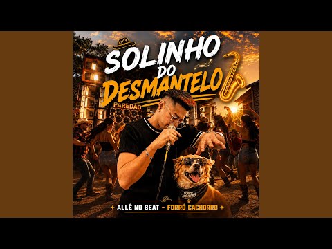 Solinho Do Desmantelo