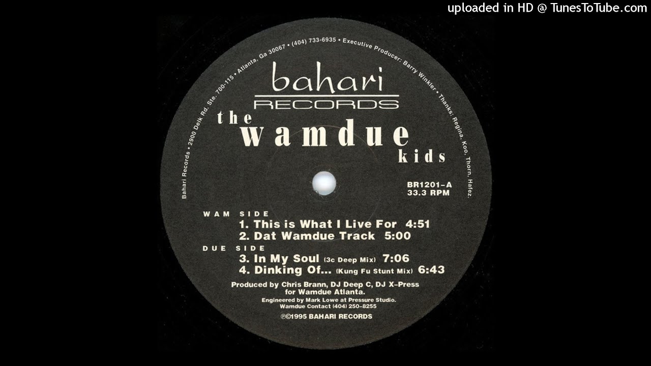 The Wamdue Kids - This Is What I Live For