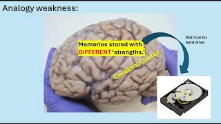 Brains vs Computer Memory... and Forgetting
