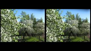 CHDK Video tests on Canon A560