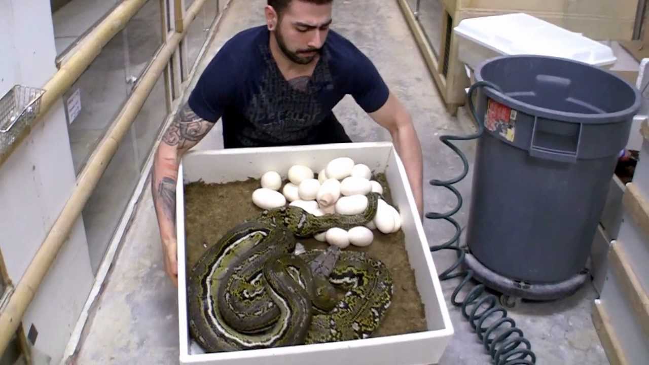 cold brew coffee Too Cold for My Taste