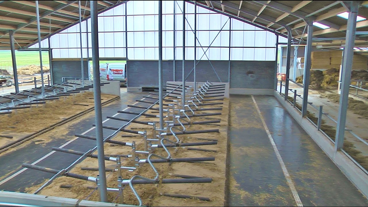 Volop innovatie op nieuw biologisch melkveebedrijf - www.melkvee.nl