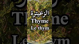 فوائد الزعتر البري أو الزعيترة/Thyme benefits/Les bienfaits du Thym#shorts