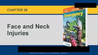 Chapter 28: Face and Neck Injuries