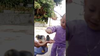 Anak Ayam Piyik Piyik