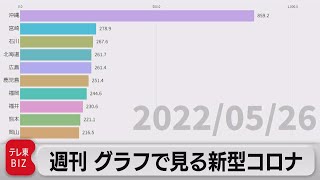 「沖縄でも減少に」週刊グラフで見る新型コロナ（2022年5月27日）