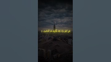 سورة المؤمنون بصوت ياسر الدوسري