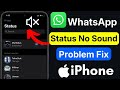 No Sound Fix | WhatsApp Status Sound Not Working | iPhone Audio Problem