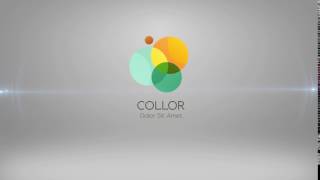 Clean & Professional Logo Animation 50