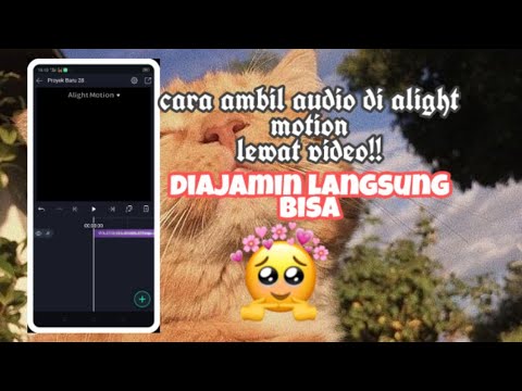 Cara Ambil Audio Di Am Lewat Video Dijamin Berhasil