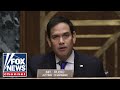 Sen. Rubio rips Democrats' 'deranged' border policy