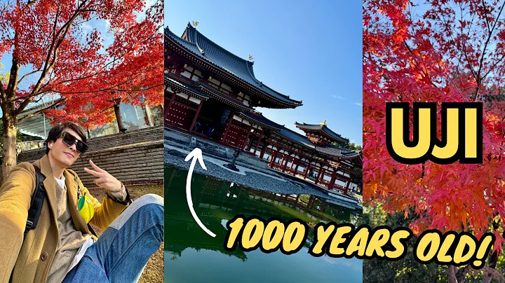 1 DAY AT UJI - Matcha Icecream, Byodo-in Temple, Phoenix Hall (1000 YEARS OLD) etc 宇治 平等院 鳳凰堂 - DayDayNews