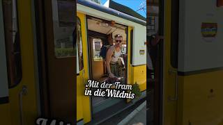 🌲🚋🌲Mit der Tram in den 🥾Nationalpark #travelgermany #travelguide #wanderlust #saxonswitzerland