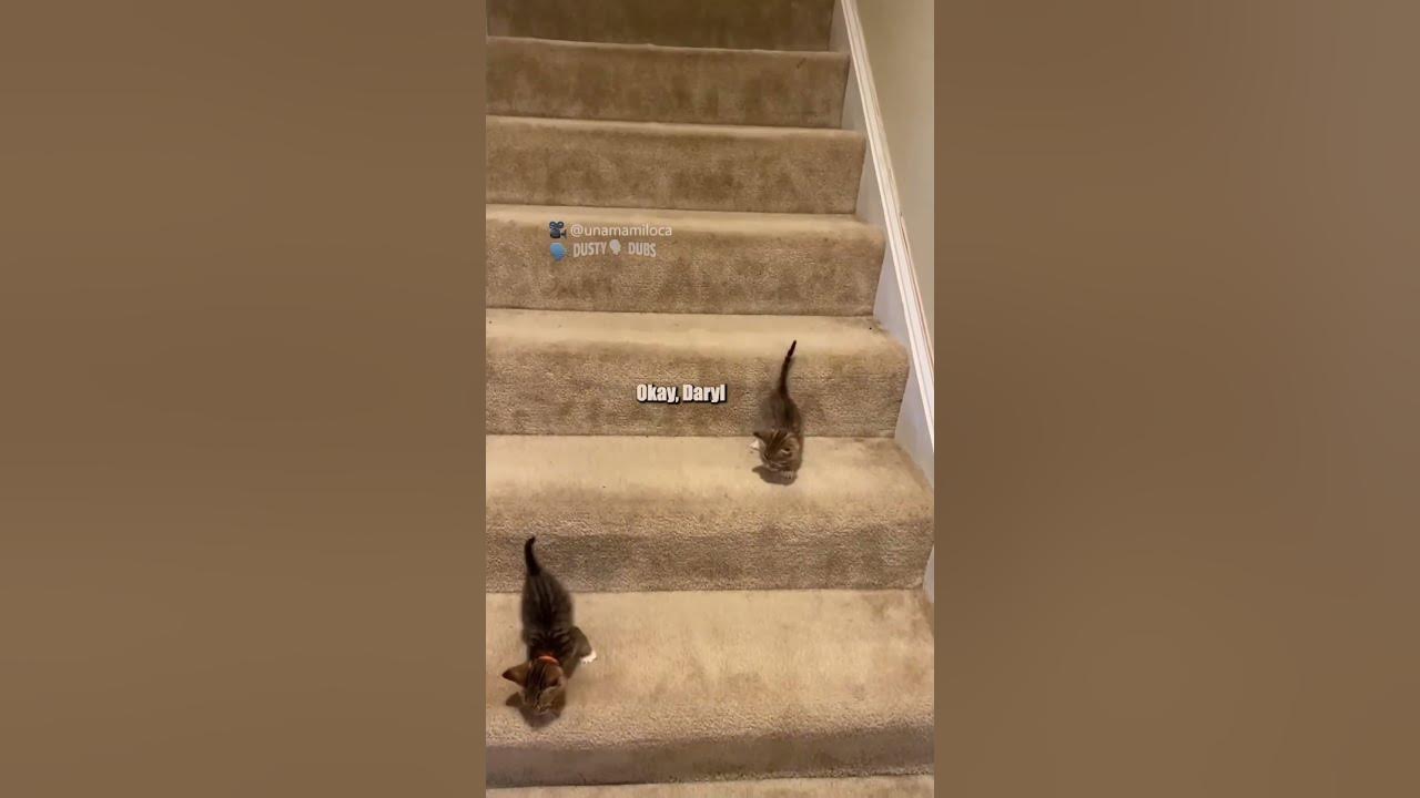 stairs are very treacherous 🎥: unamamiloca (TikTok), #shorts