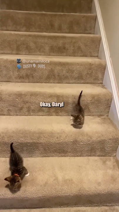 stairs are very treacherous 🎥: unamamiloca (TikTok), #shorts