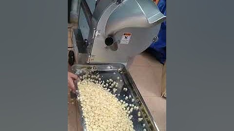 máy cắt hạt lựu củ quả SH100, máy thái hạt lựu cà rốt, máy thái hạt lựu bí đao, khoai lang, củ cải