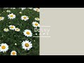 Daisy -Today's Flower-                               ⚫︎Feb.15. 2022⚫︎