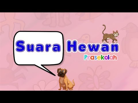  Suara  Hewan  Video Prasekolah YouTube