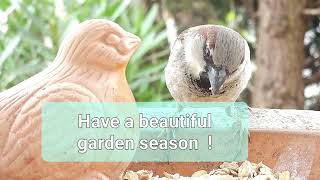 Have a beautiful garden season  !
