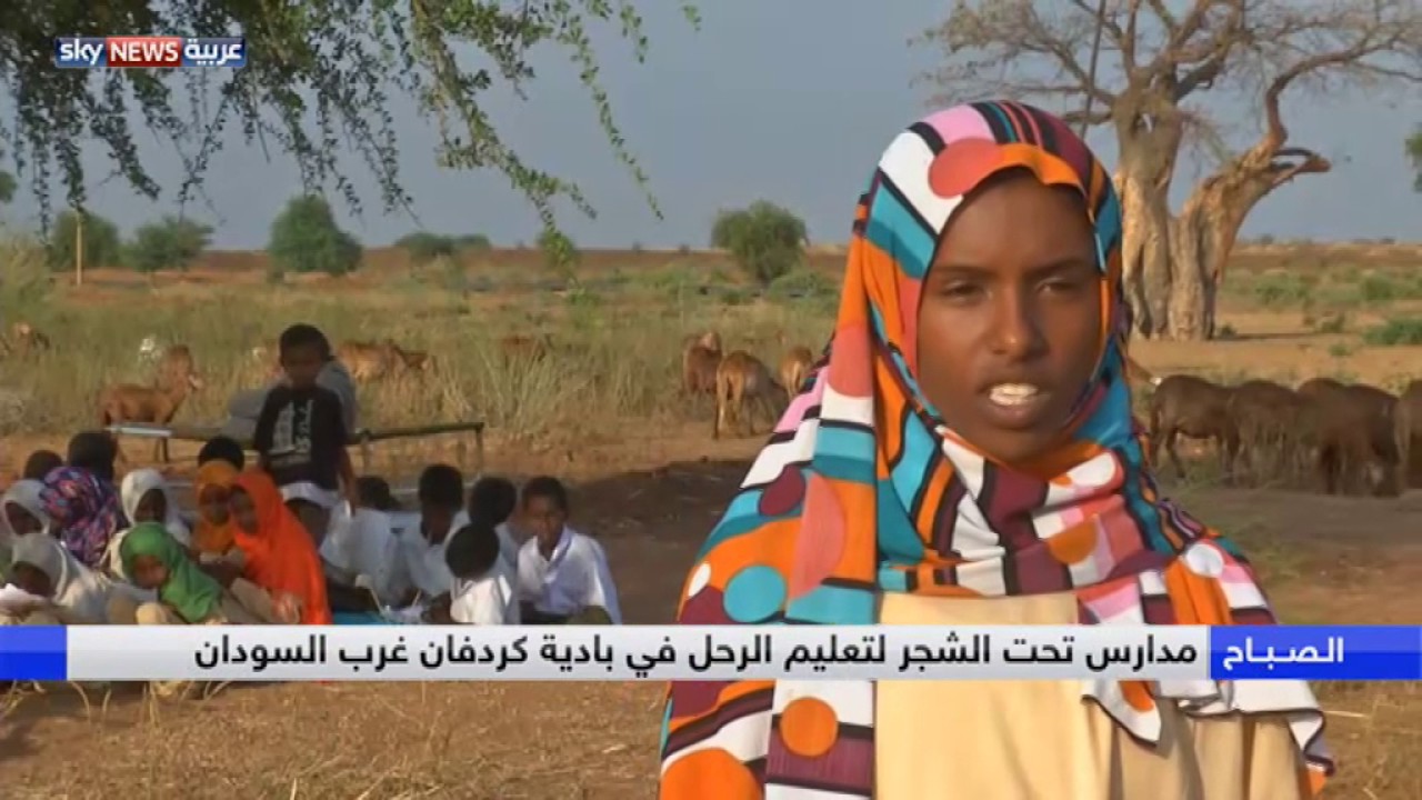 مدارس تحت الأشجار في بادية كردفان