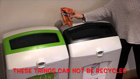 Recycling at Lunch