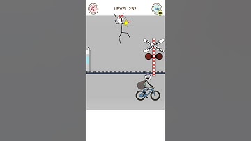 Thief Puzzle Level 252