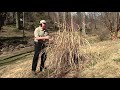 Best Ways (How To) Trim Ornamental Grasses in Late Winter / Early Spring