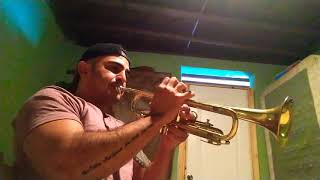 A Mí Manera - Solo Trompeta Mariachi