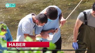 Si̇vri̇si̇nekle Mücadelede Bi̇yoloji̇k Kökenli̇ Larvasi̇tler Kullanilmaya Başlanildi