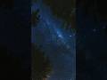 The Milky Way Rotates Over the Forest 🌌 | No City Lights. Just Stars.