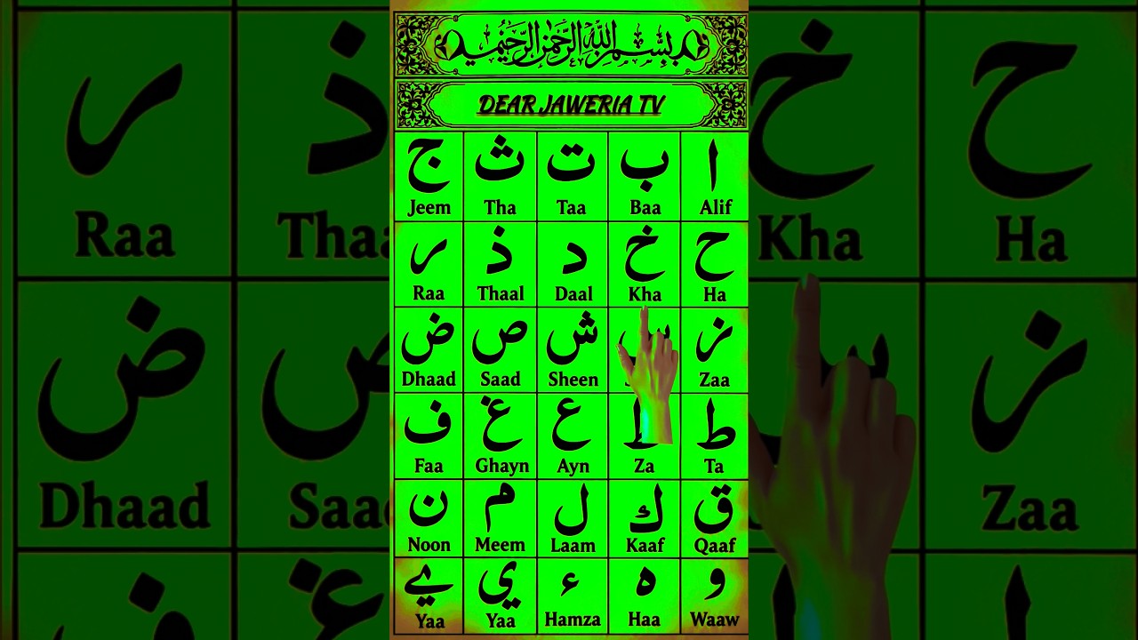 Arabic Letters Alifun Baa taaun saa | Beautiful Recitation of Arabic Letters #madniqaida #shorts