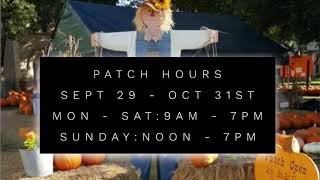 FUMC Pumpkin Patch Video 2018