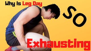 WHY is leg day so exhausting? (3 scientific reasons)