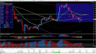 30 PIP TRIGGER Trade Setup Profile