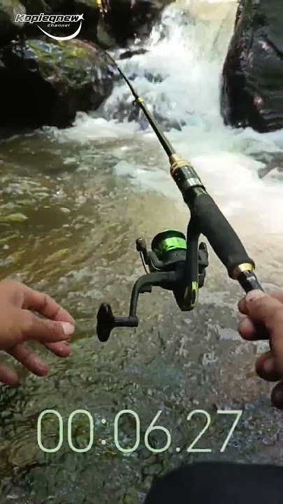 MOMENT MANCING DI SAMBAR PESUT #fishing #mancing #ikan #angler #pancing #shortsviral #shortvideo