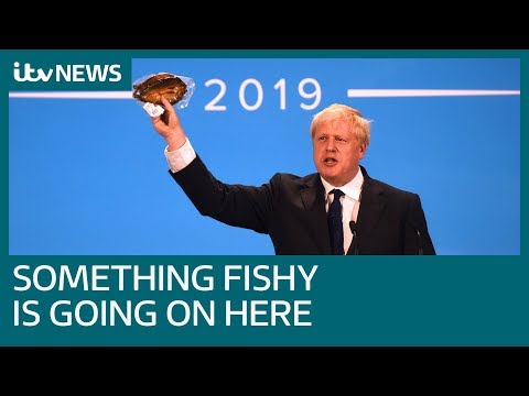 Boris Johnson S Fishy Brussels Bureaucrats Kipper Claim Is Questioned Itv News Youtube